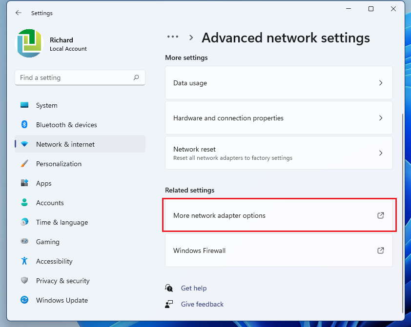 Windows 11 plus network adapter options