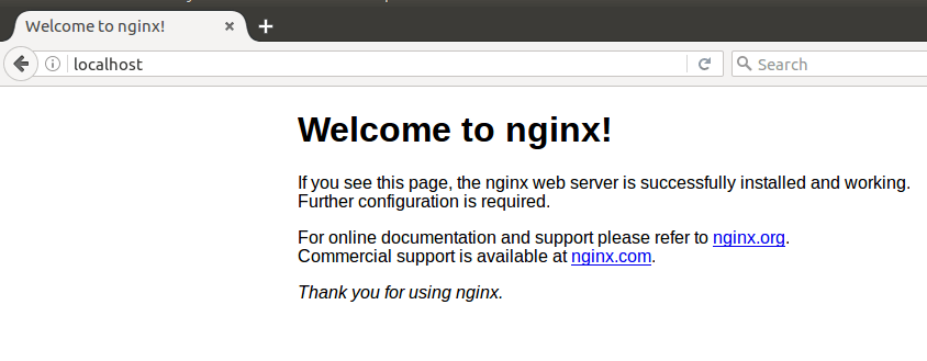 nginx default homepage test