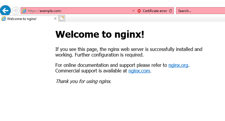 ubuntu self-signed nginx certificates