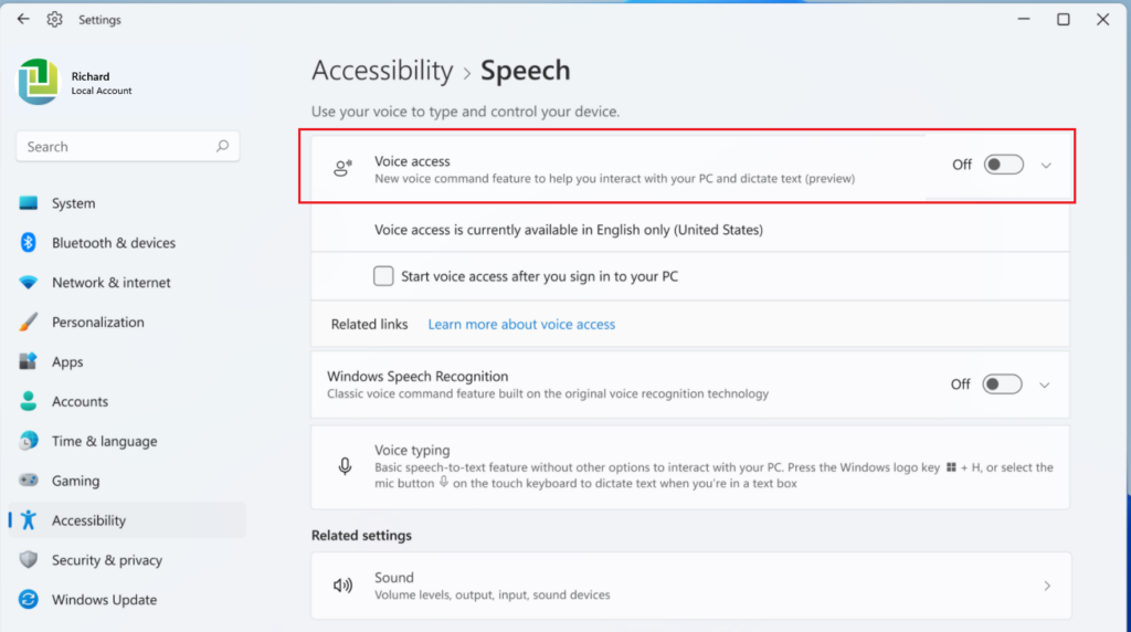 windows 11 disable voice access
