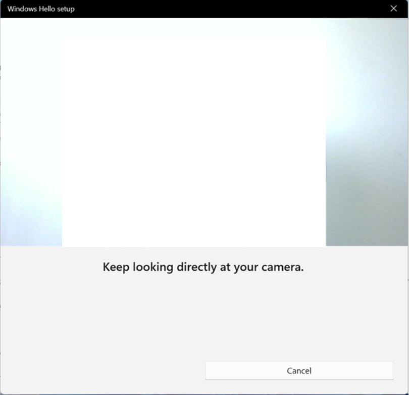 Windows 11 captures face to login