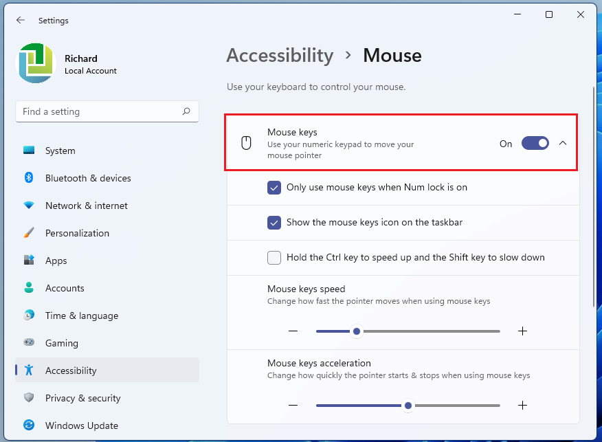 enable windows 11 mouse keys