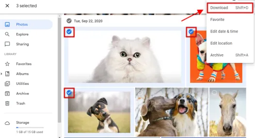Download many photos at once from Google Photos on PC.