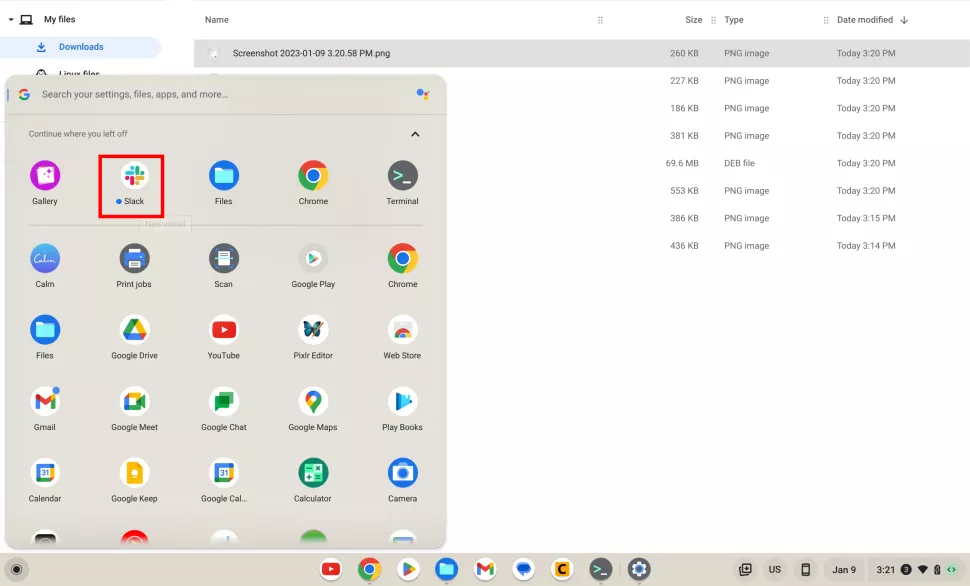 install apps linux chromebook 3