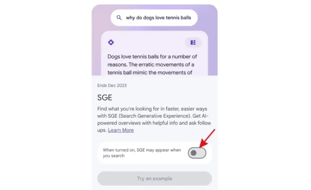 Activate Google SGE (Search Generative Experience)