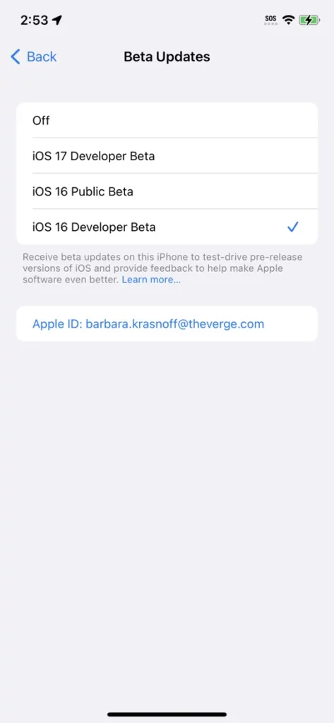 install beta iOS 17 2