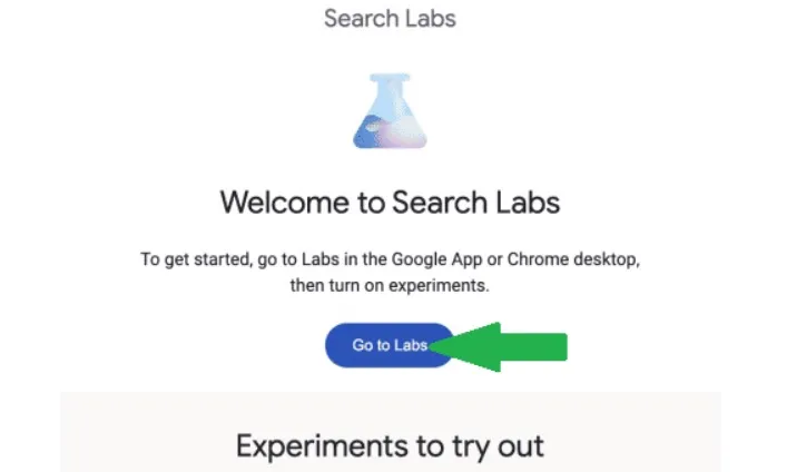 Google Labs Go